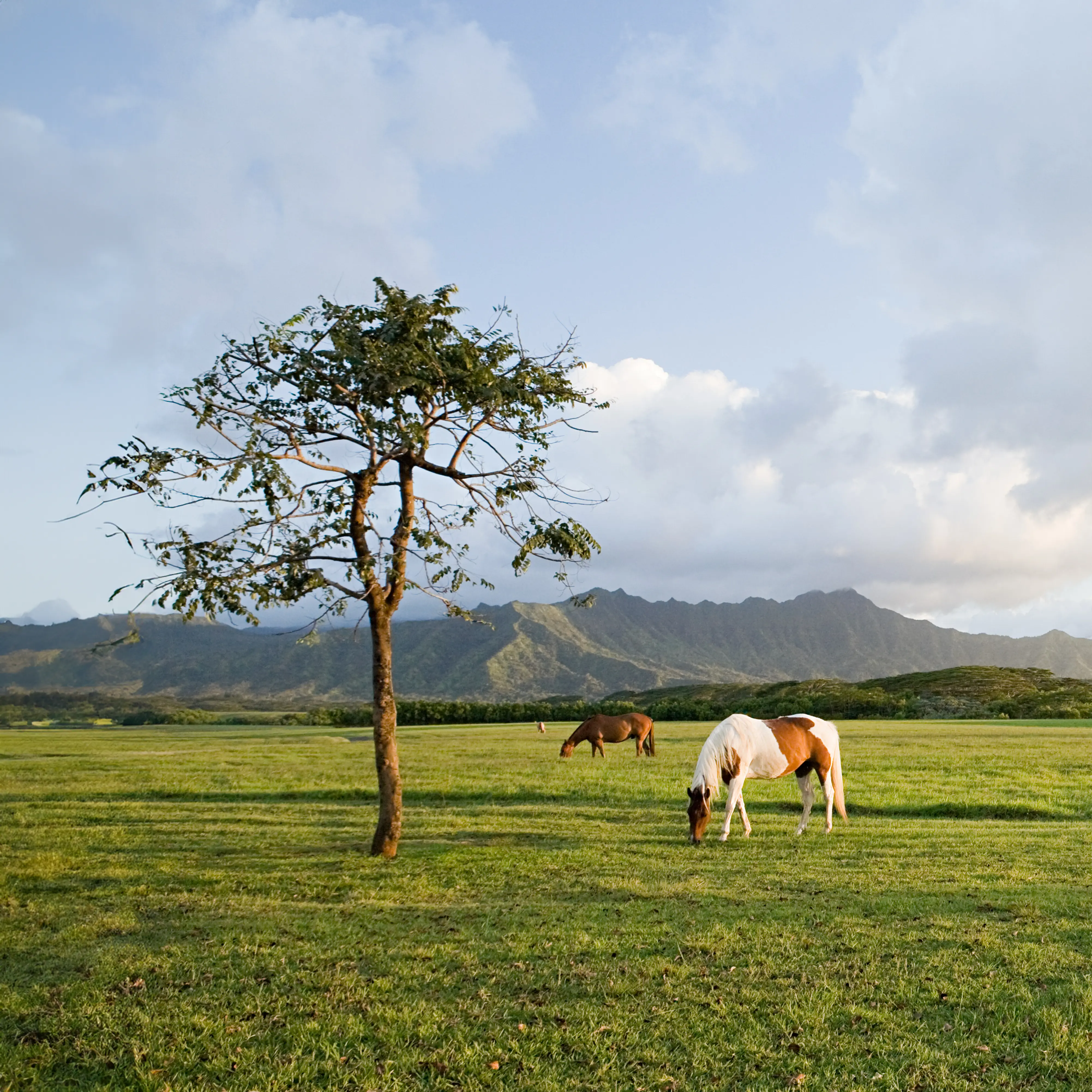 Outdoor & Natural Locations